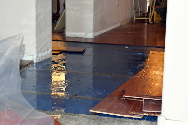 Professional Water Extraction technician working in Willshire, OH